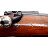 Image 13 : WINCHESTER | Model: 70 Pre 64 | Caliber: .338 WIN MAG
