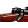 Image 14 : WINCHESTER | Model: 70 Pre 64 | Caliber: .338 WIN MAG