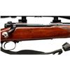 Image 3 : WINCHESTER | Model: 70 Pre 64 | Caliber: .338 WIN MAG