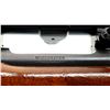 Image 8 : WINCHESTER | Model: 70 Pre 64 | Caliber: .338 WIN MAG