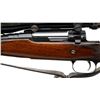 Image 6 : ROSS RIFLE | Model: M10 Factory Sporter | Caliber: .280 ROSS