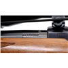 Image 10 : RUGER | Model: 77/22 | Caliber: .22 HORNET