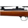 Image 6 : RUGER | Model: 77/22 | Caliber: .22 HORNET