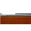 Image 8 : ANSCHUTZ | Model: 1517 | Caliber: .17 HMR