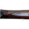 Image 18 : STEYR MANNLICHER | Model: 1903 | Caliber: 6.5 X 54MS