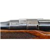 Image 8 : WESTLEY RICHARDS | Model: Factor Sporter Alex Martin Glasgow | Caliber: .303 BR
