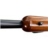 Image 16 : RUGER | Model: NO1 B | Caliber: .243 WIN