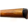 Image 11 : REMINGTON | Model: 1900 | Caliber: 12 G X 2 3/4"