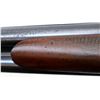 Image 13 : REMINGTON | Model: 1900 | Caliber: 12 G X 2 3/4"