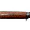 Image 25 : SWEDISH MAUSER | Model: 1896 | Caliber: 6.5 X 55