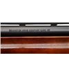 Image 11 : REMINGTON | Model: 870 Express | Caliber: 12 G X 3"