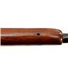 Image 19 : ENFIELD | Model: P14 Sporter | Caliber: .303 BR
