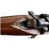 Image 13 : SWEDISH MAUSER | Model: 1896 Sporter | Caliber: 6.5 X 55
