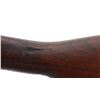 Image 7 : BRITISH LEE ENFIELD | Model: NO4 MK1* Sporter | Caliber: .303 BR