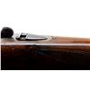 Image 9 : BERETTA | Model: Side By Side Hammerless | Caliber: 12 G X 3"