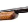 Image 16 : BSA | Model: Single Shot | Caliber: .22 LR