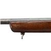 Image 11 : BRITISH LEE ENFIELD | Model: NO4 MKI Sporter | Caliber: .303 BR