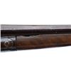 Image 12 : UNKNOWN BELGIAN | Model: Side By Side Hammer Gun | Caliber: 12 G X 2 5/8"