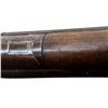 Image 17 : UNKNOWN BELGIAN | Model: Side By Side Hammer Gun | Caliber: 12 G X 2 5/8"
