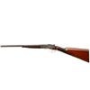 Image 5 : JOHN R GOW & SONS DUNDEE | Model: Side By Side Hammerless | Caliber: 12 G X 2 5/8"