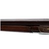Image 9 : T. PARKER | Model: Side By Side Hammer Gun | Caliber: 12 G X 2 3/4"