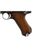 Image 5 : DEACTIVATED GERMAN LUGER | Model: P08 | Caliber: 9MM LUGER