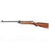 Image 2 : UNKNOWN .177 CAL. PELLET AIR RIFLE