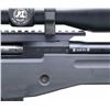 Image 2 : HIGHLY DESIRABLE ACCURACY INTERNATIONAL MODEL