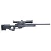Image 4 : HIGHLY DESIRABLE ACCURACY INTERNATIONAL MODEL
