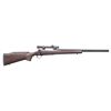 Image 1 : CUSTOM WINCHESTER MODEL 70 CALIBER 585 NYATI SHORT