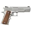 Image 2 : CASPIAN CUSTOM STAINLESS 45 ACP SEMI-AUTO PISTOL.