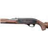 Image 4 : VERY NICE REMINGTON NYLON 66 U.S. BICENTENNIAL