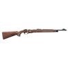 Image 1 : RARE REMINGTON NYLON 10 SINGLE SHOT BOLT ACTION