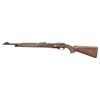 Image 2 : RARE REMINGTON NYLON 10 SINGLE SHOT BOLT ACTION
