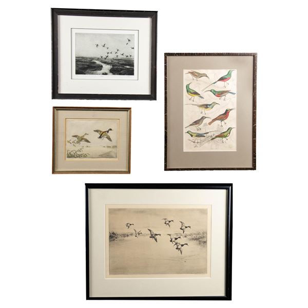 4 SCARCE BIRD ETCHINGS & PRINTS.