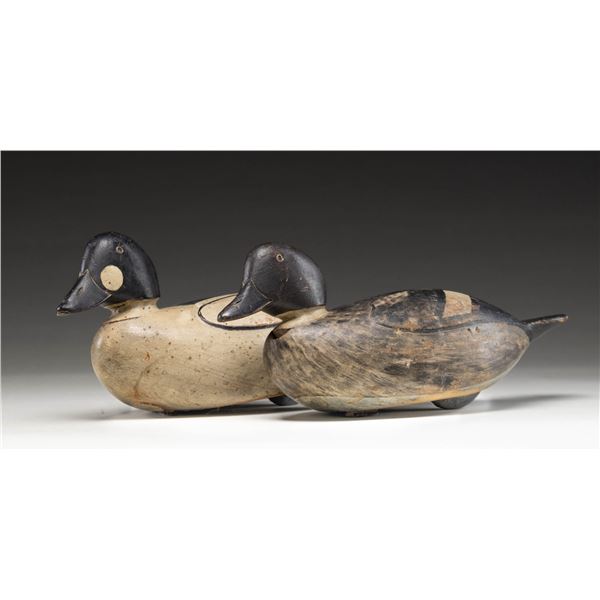 ATTRACTIVE PAIR OF RAISED WING GOLDEN EYE DECOYS.