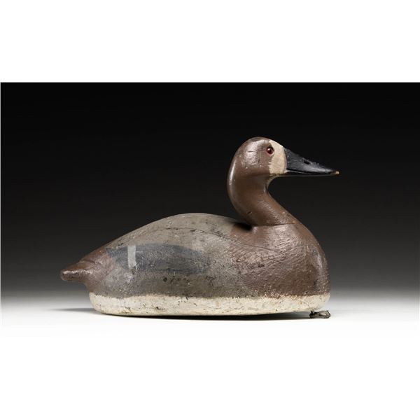 OVERSIZE FRANK STRAY CANVASBACK (?) DECOY.