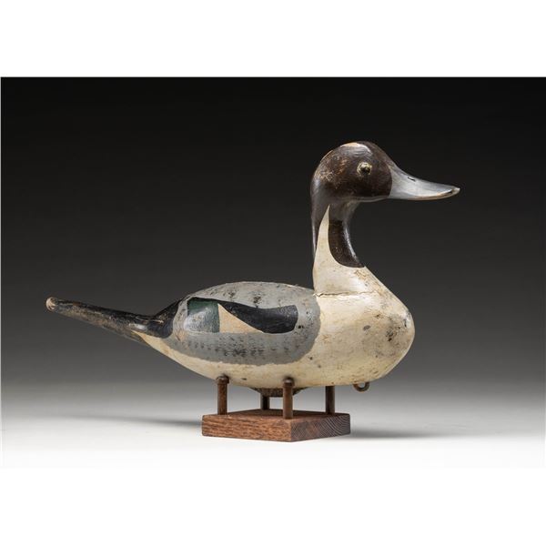 PINTAIL DRAKE DECOY MARKED "CASTLE HAVEN".