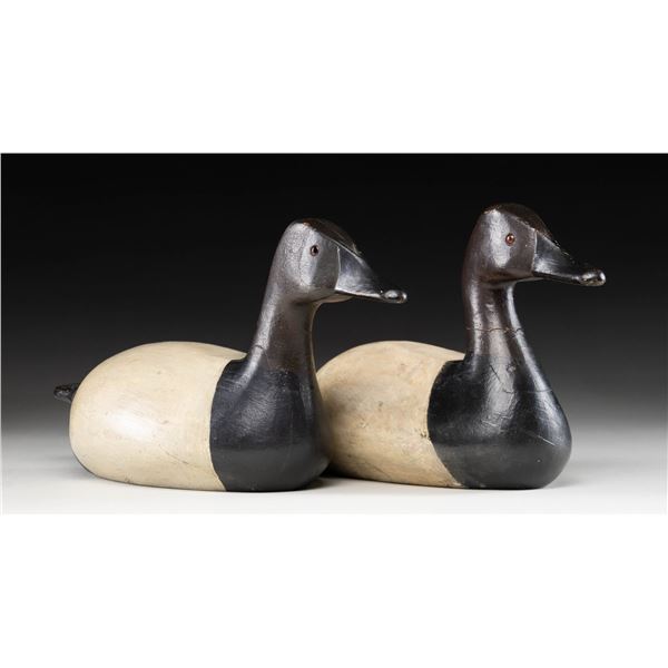 PAIR OF CANVASBACK DECOYS.