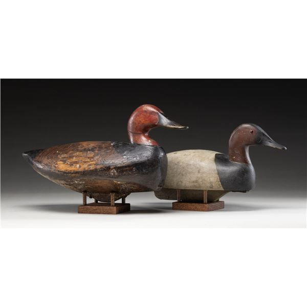 2 CANVASBACK DECOYS.