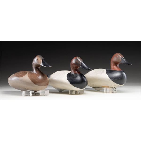 3 MADISON MITCHELL CANVASBACK DECOYS 2 DRAKES &