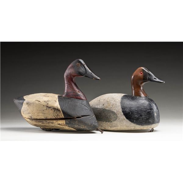 2 OVERSIZED CANVASBACK DECOYS 1 MARKED "CEDAR