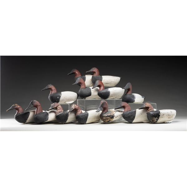 13 VINTAGE CANVASBACK WORKING DECOYS.