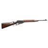 Image 1 : WINCHESTER MODEL 1895 .303 BRITISH LEVER ACTION