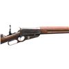 Image 3 : WINCHESTER MODEL 1895 .303 BRITISH LEVER ACTION