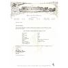 Image 5 : FACTORY ENGRAVED COLT MODEL 1877 "LIGHTNING" DA