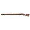 Image 2 : GERMANIC MATCHLOCK GUN.