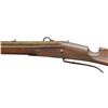 Image 4 : GERMANIC MATCHLOCK GUN.