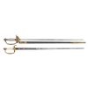 Image 1 : 2 EARLY 19TH CENTURY EUROPEAN OFFICER'S SWORDS.