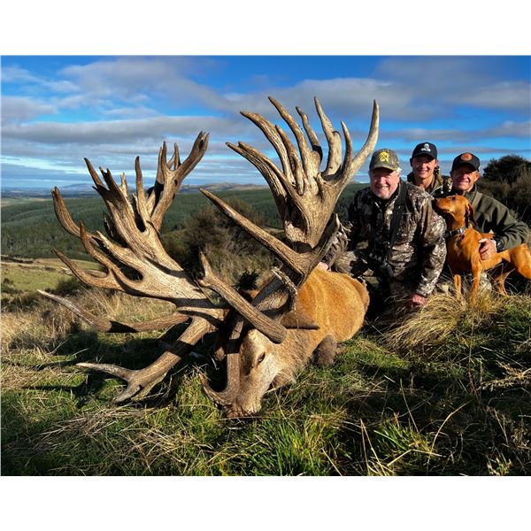 4-day/4-night 500-class Red Stag Hunt for 1 hunter and 1 non hunter